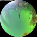 ./images/calvert/underwater/20260820/underwater20260820_175002M.jpg