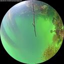 ./images/calvert/underwater/20260820/underwater20260820_175501M.jpg