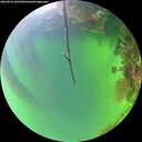 ./images/calvert/underwater/20260820/underwater20260820_180501M.jpg