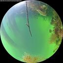 ./images/calvert/underwater/20260820/underwater20260820_181001M.jpg