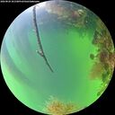 ./images/calvert/underwater/20260820/underwater20260820_181501M.jpg