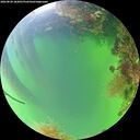 ./images/calvert/underwater/20260820/underwater20260820_182001M.jpg