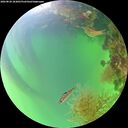 ./images/calvert/underwater/20260820/underwater20260820_183001M.jpg