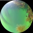 ./images/calvert/underwater/20260820/underwater20260820_184501M.jpg