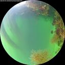 ./images/calvert/underwater/20260820/underwater20260820_185001M.jpg
