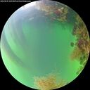 ./images/calvert/underwater/20260820/underwater20260820_185501M.jpg