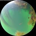 ./images/calvert/underwater/20260820/underwater20260820_191001M.jpg