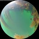 ./images/calvert/underwater/20260820/underwater20260820_193501M.jpg