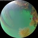 ./images/calvert/underwater/20260820/underwater20260820_195001M.jpg