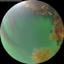 ./images/calvert/underwater/20260820/underwater20260820_202001M.jpg