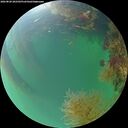 ./images/calvert/underwater/20260820/underwater20260820_202502M.jpg