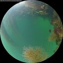 ./images/calvert/underwater/20260820/underwater20260820_203501M.jpg