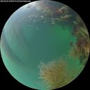 ./images/calvert/underwater/20260820/underwater20260820_204001M.jpg