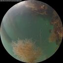 ./images/calvert/underwater/20260820/underwater20260820_205502M.jpg