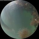 ./images/calvert/underwater/20260821/underwater20260821_062001M.jpg