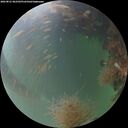 ./images/calvert/underwater/20260821/underwater20260821_062501M.jpg