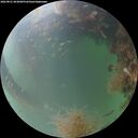 ./images/calvert/underwater/20260821/underwater20260821_063001M.jpg