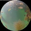 ./images/calvert/underwater/20260821/underwater20260821_065001M.jpg