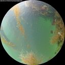 ./images/calvert/underwater/20260821/underwater20260821_070501M.jpg