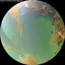 ./images/calvert/underwater/20260821/underwater20260821_073002M.jpg