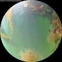 ./images/calvert/underwater/20260821/underwater20260821_074501M.jpg