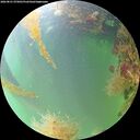 ./images/calvert/underwater/20260821/underwater20260821_075001M.jpg