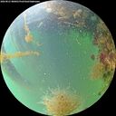 ./images/calvert/underwater/20260821/underwater20260821_080001M.jpg