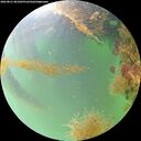 ./images/calvert/underwater/20260821/underwater20260821_081001M.jpg