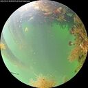 ./images/calvert/underwater/20260821/underwater20260821_082001M.jpg