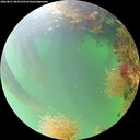 ./images/calvert/underwater/20260821/underwater20260821_083501M.jpg