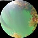 ./images/calvert/underwater/20260821/underwater20260821_084001M.jpg
