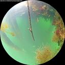 ./images/calvert/underwater/20260821/underwater20260821_090001M.jpg
