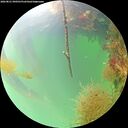./images/calvert/underwater/20260821/underwater20260821_090501M.jpg