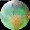 ./images/calvert/underwater/20260821/underwater20260821_091501M.jpg