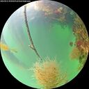 ./images/calvert/underwater/20260821/underwater20260821_092001M.jpg