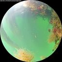 ./images/calvert/underwater/20260821/underwater20260821_093002M.jpg