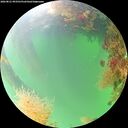 ./images/calvert/underwater/20260821/underwater20260821_093501M.jpg