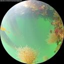 ./images/calvert/underwater/20260821/underwater20260821_094501M.jpg