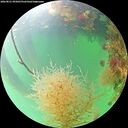 ./images/calvert/underwater/20260821/underwater20260821_095001M.jpg