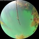 ./images/calvert/underwater/20260821/underwater20260821_105001M.jpg
