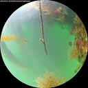./images/calvert/underwater/20260821/underwater20260821_105501M.jpg