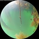 ./images/calvert/underwater/20260821/underwater20260821_110001M.jpg