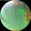 ./images/calvert/underwater/20260821/underwater20260821_110501M.jpg