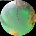 ./images/calvert/underwater/20260821/underwater20260821_111001M.jpg