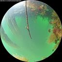 ./images/calvert/underwater/20260821/underwater20260821_111501M.jpg