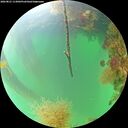 ./images/calvert/underwater/20260821/underwater20260821_113002M.jpg