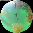 ./images/calvert/underwater/20260821/underwater20260821_113501M.jpg