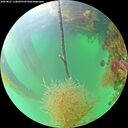 ./images/calvert/underwater/20260821/underwater20260821_114001M.jpg