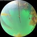 ./images/calvert/underwater/20260821/underwater20260821_115002M.jpg
