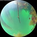 ./images/calvert/underwater/20260821/underwater20260821_115501M.jpg